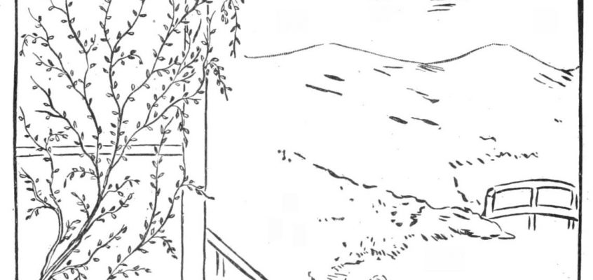 La vigne en rotin et la rose
