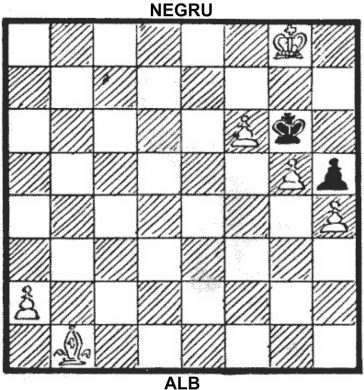 Șah mat