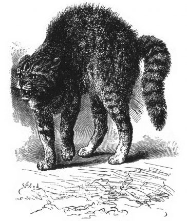 Expresia emoțiilor la om și animale de Charles Darwin