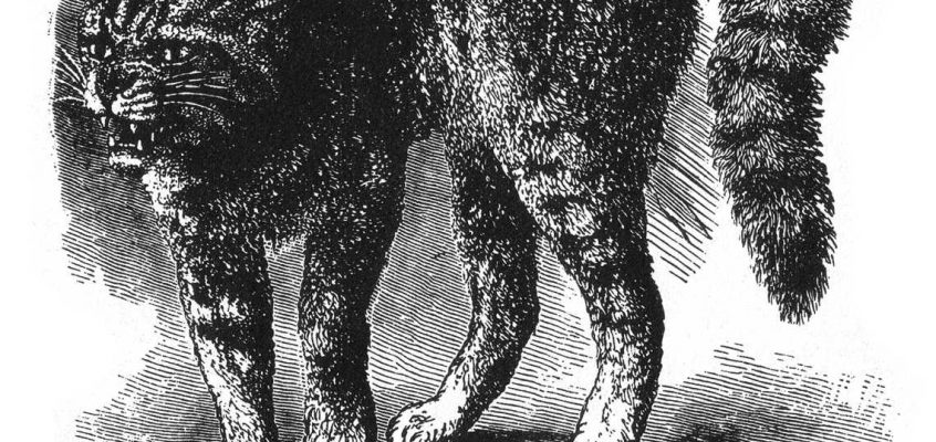 Expresia emoțiilor la om și animale de Charles Darwin