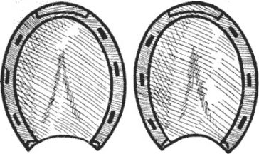 Două potcoave