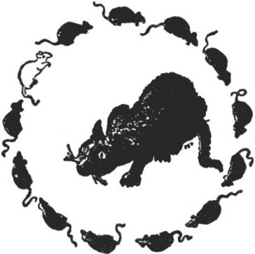 Pisica și șoarecii