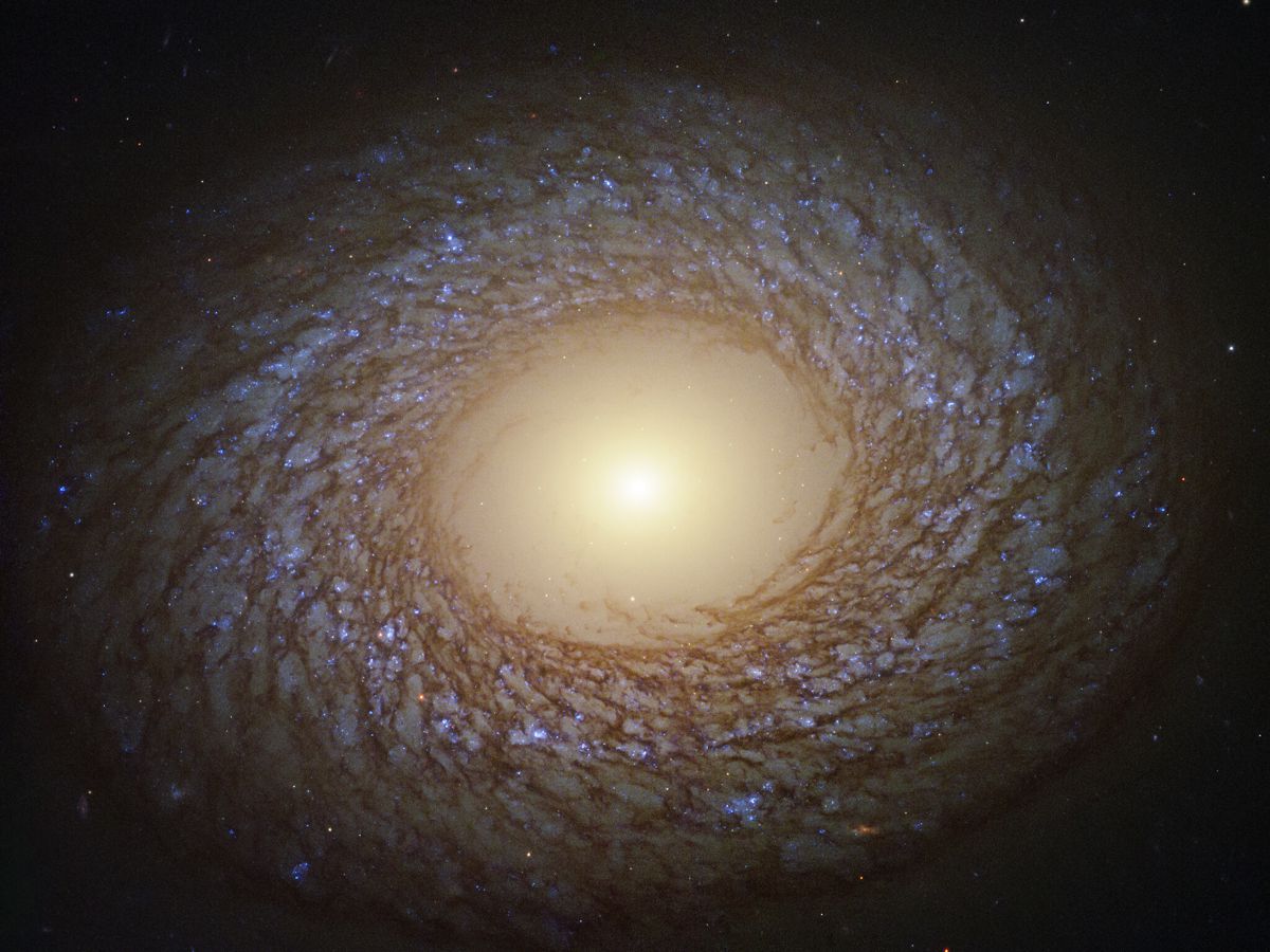 NGC 2775 Galaxy