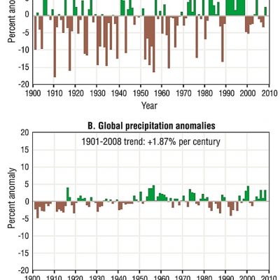 Precipitații în secolul XX și până în 2008 în timpul încălzirii globale