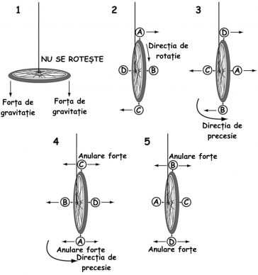 Precesia