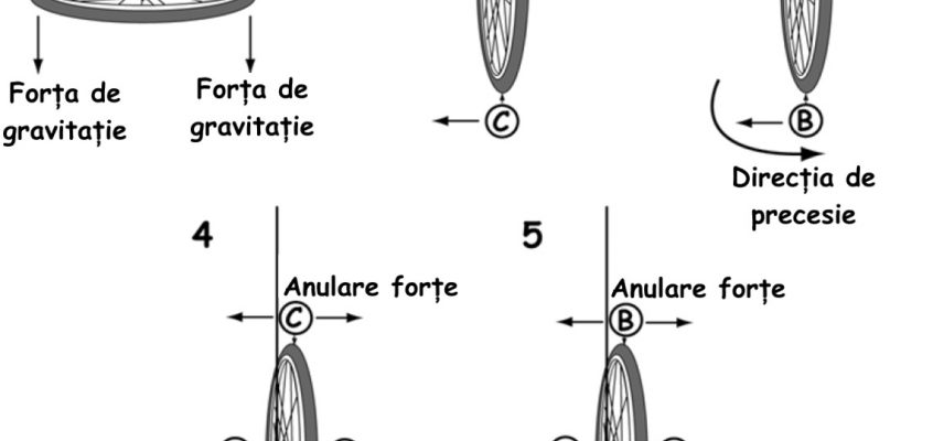 Precesia