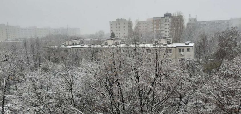 Iarna