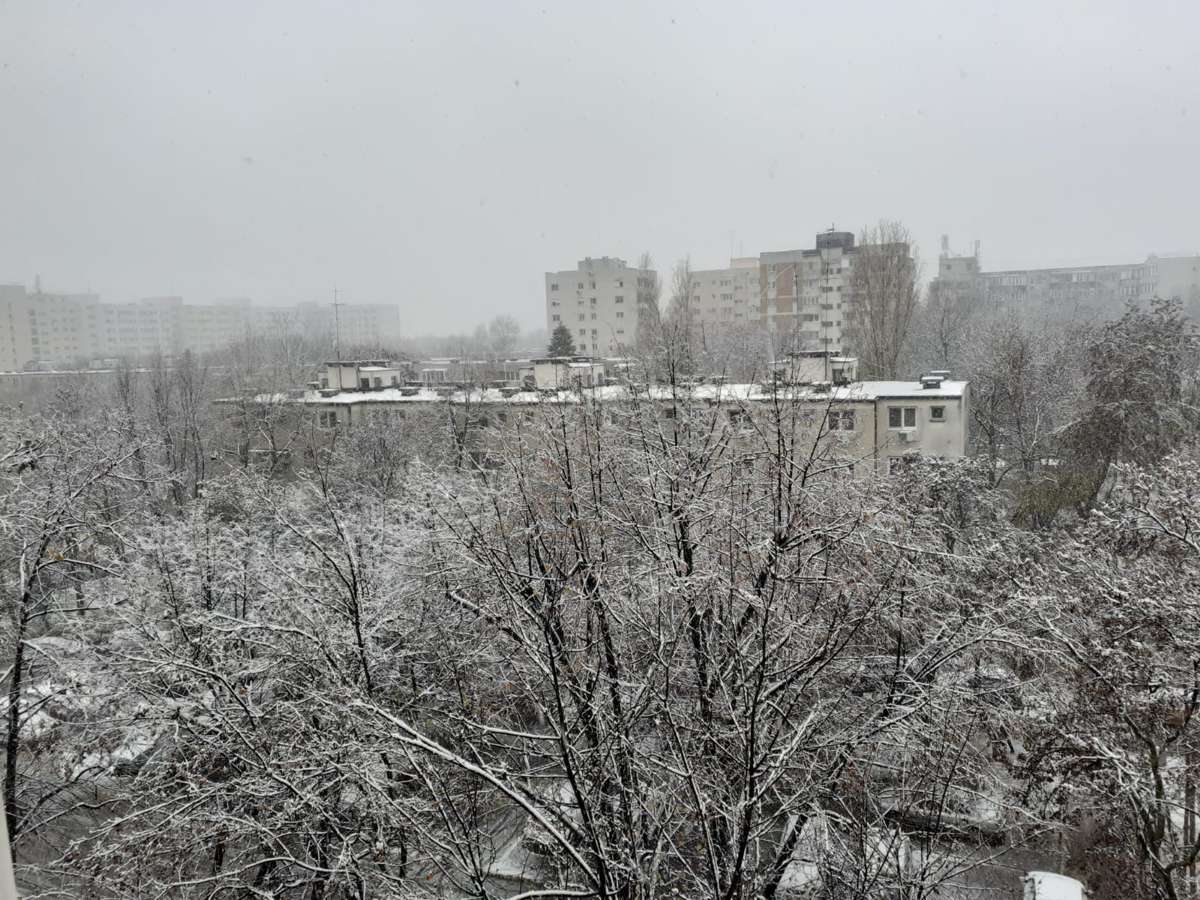 Iarna