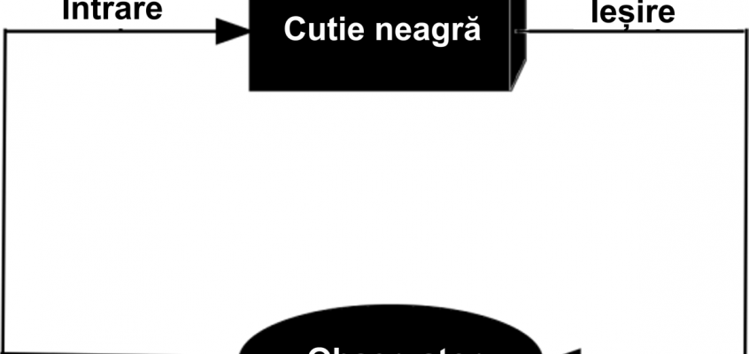 Modelul de cutie neagră