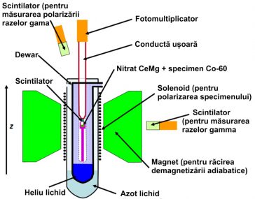 Ilustrația schematică a experimentului Wu