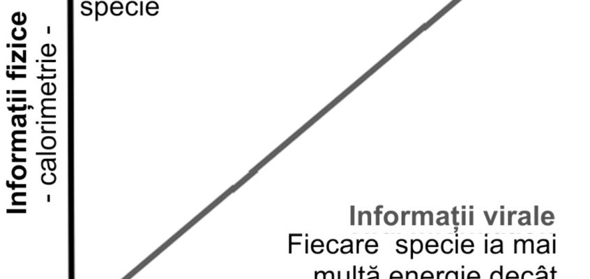 Căutarea informațiilor virale