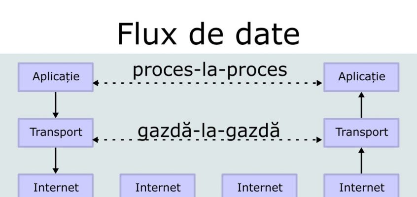 Topologie de rețea.