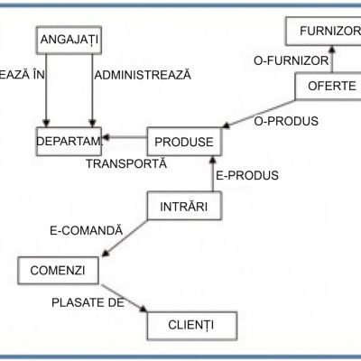 Statistica - Diagrama modelului de rețea.