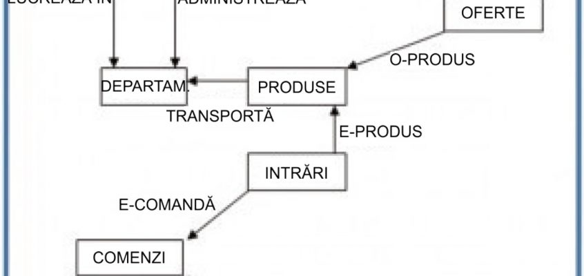 Statistica - Diagrama modelului de rețea.