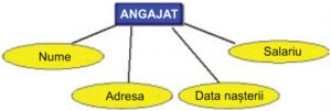 Modelul de date entitate-asociere în bazele de date