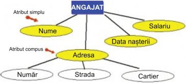 Modelul de date entitate-asociere în bazele de date