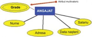 Modelul de date entitate-asociere în bazele de date