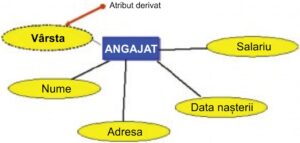 Modelul de date entitate-asociere în bazele de date