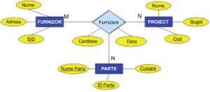 Relații (asocieri) în modelul de date entitate-asociere