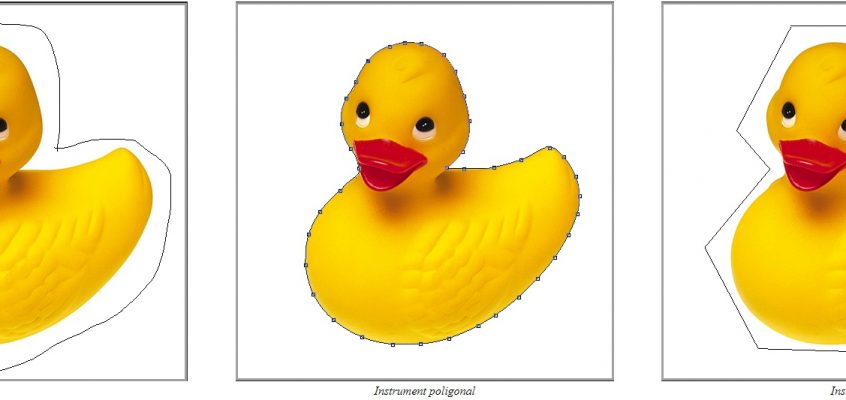Selecția imaginii în Adobe Photoshop
