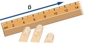Magnitudine vector