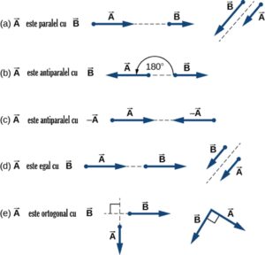 Vectori