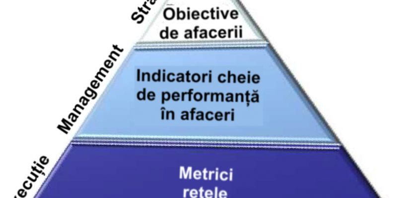 Componente de Business Intelligence într-un program de analitica rețelelor sociale