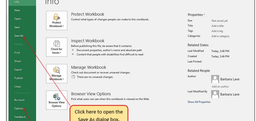 Excel File Tab