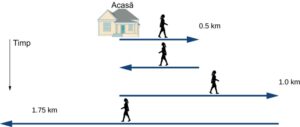 Cronologia mișcărilor