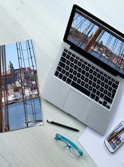Web development