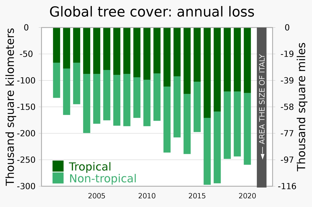 Rata pierderii acoperirii globale cu pomi s-a dublat aproximativ din 2001, până la o pierdere anuală care se apropie de o zonă de mărimea Italiei.