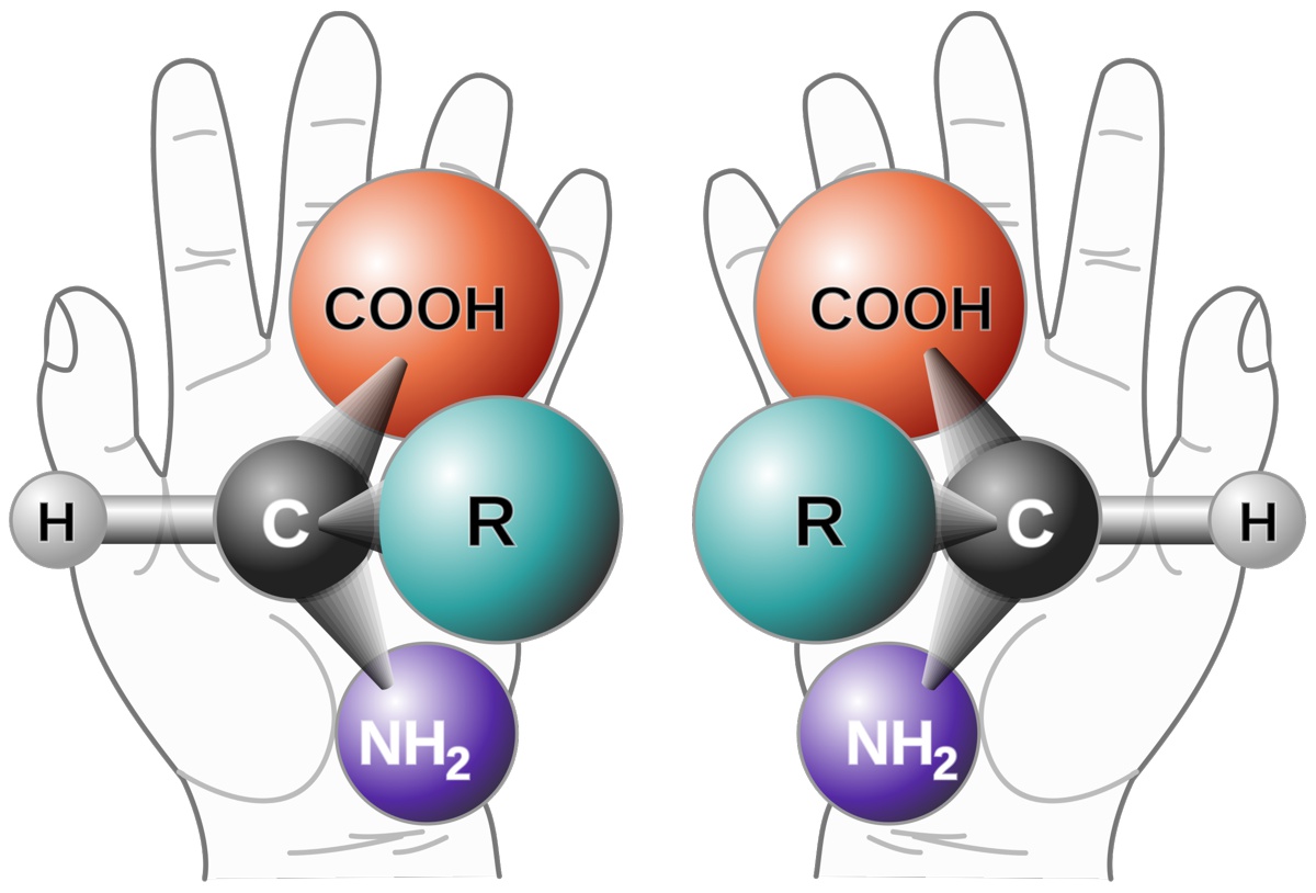 Doi enantiomeri ai unui alfa aminoacid generic