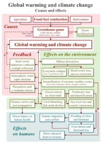 Global warming and climate change- vertical block diagram - causes effects feedback