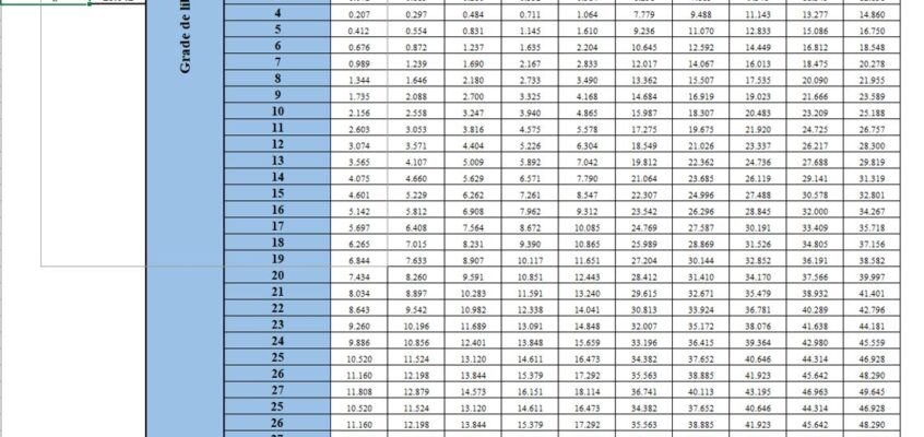 Șablon Excel interactiv pentru determinarea punctului de întrerupere al lui χ2