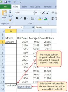 Excel - Utilizarea Umplerii automate