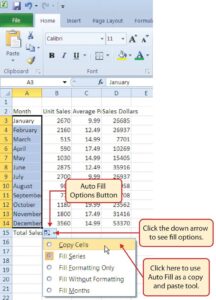 Excel - Opțiuni umplere automată
