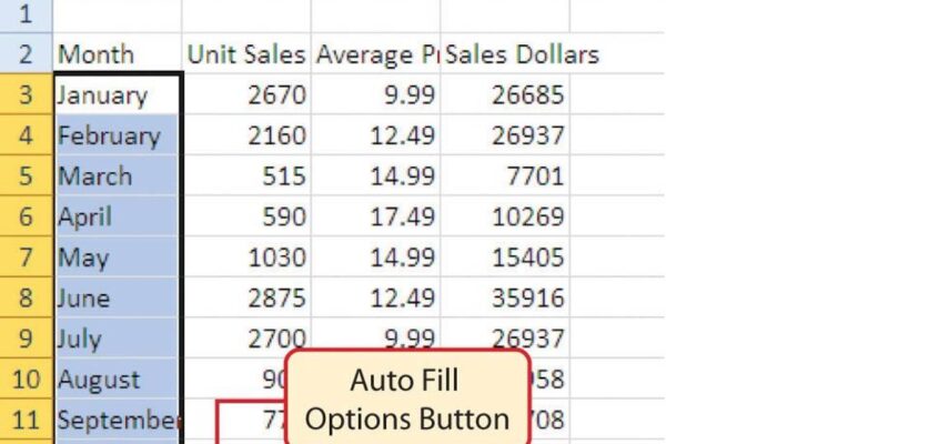 Excel - Opțiuni umplere automată