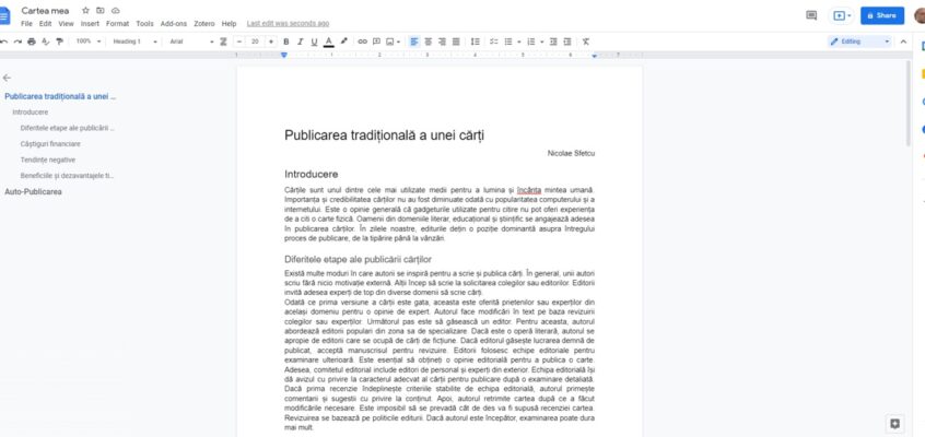 Google Docs - Previzualizare document