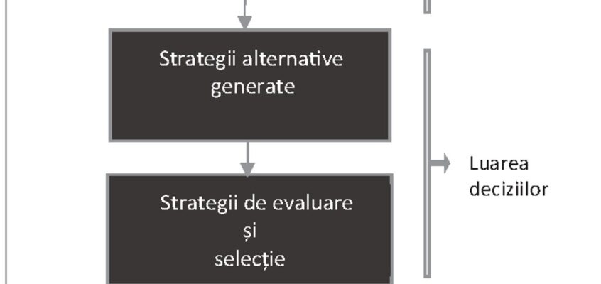 Inteligența competitivă - Procesul de formulare a strategiei