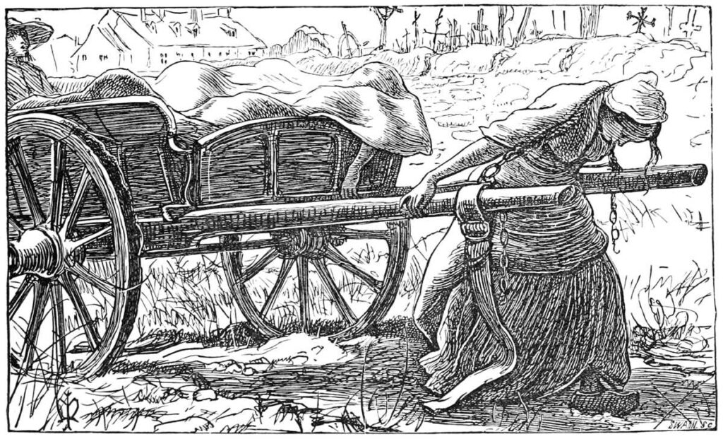 Plague of Elliant