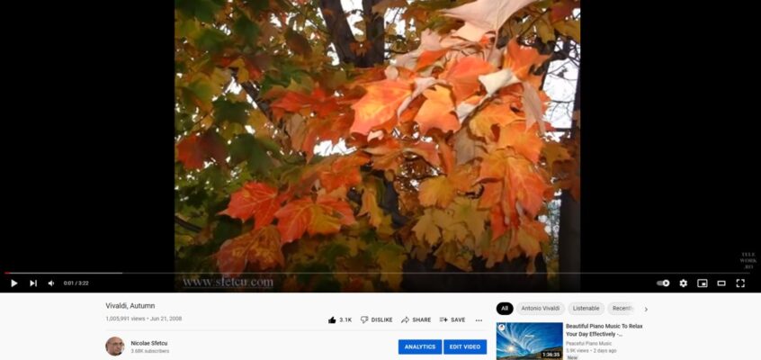 YouTube - Evaluare