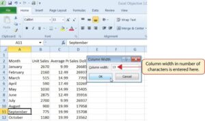 Excel - Caseta de dialog Column Width