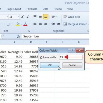 Excel - Caseta de dialog Column Width