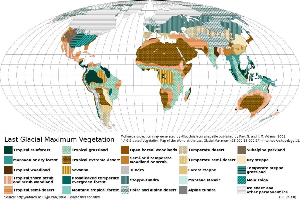 Harta distribuțiilor vegetației globale în timpul ultimului maxim glaciar. 