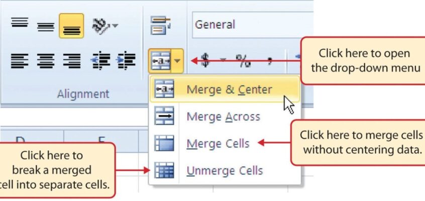 Excel - Sheet1 cu caracteristici de aliniere a datelor adăugate