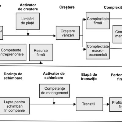 Modelul de creștere „managementul complexității”.