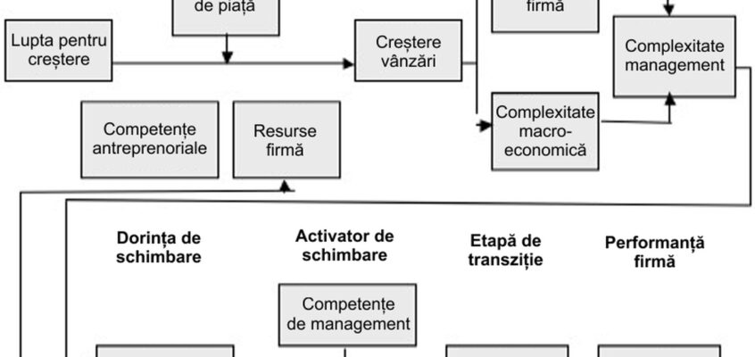 Modelul de creștere „managementul complexității”.