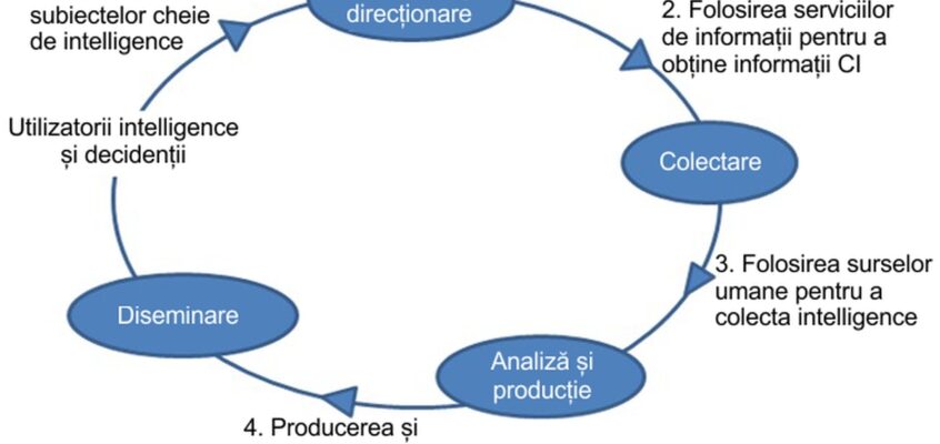 Procesele și operațiunile ciclului intelligence