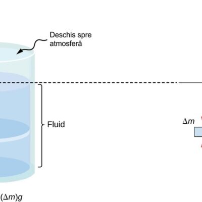 Forțe asupra unui element de masă în interiorul unui fluid