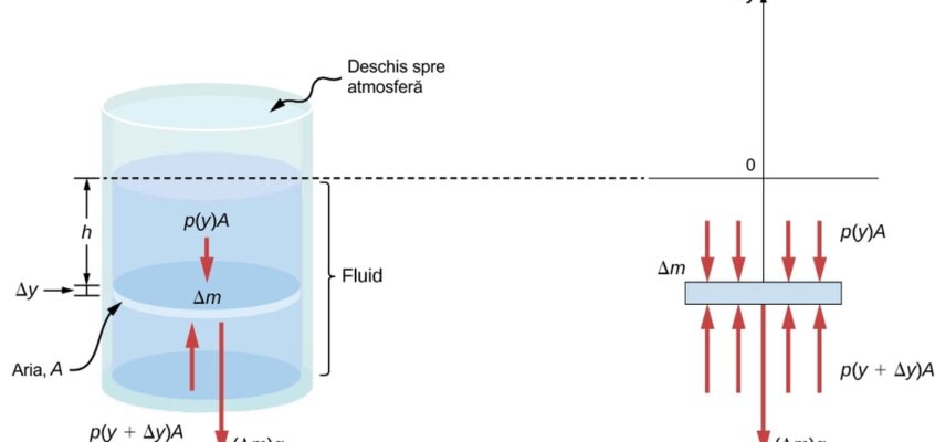 Forțe asupra unui element de masă în interiorul unui fluid